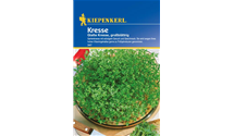 Lepidium sativum 'Großblättrige'