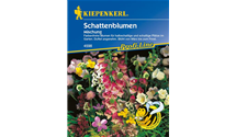 Schattenstauden