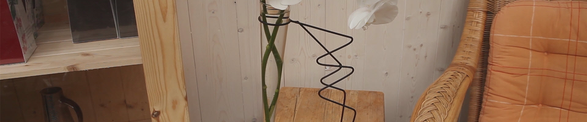 Orchidee - Anschneiden für den Heimgebrauch (thumbnail)