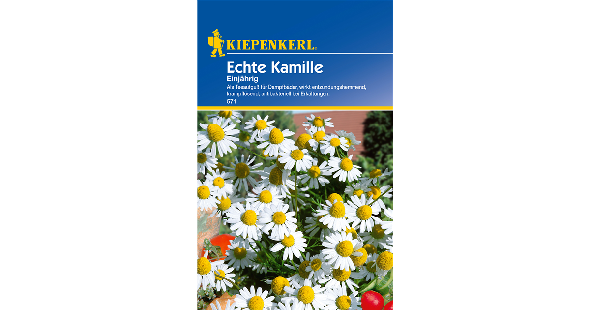 Echte Kamille