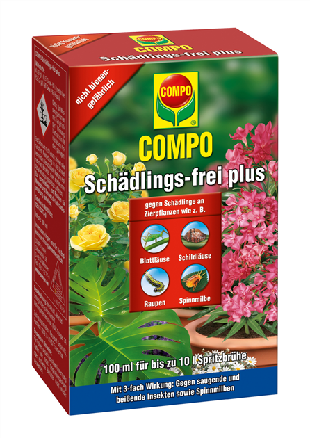 bienenfreund saatgut Sonnenblumen Saatgut: Bienenfreundlich & Vogelfutter  Imkado