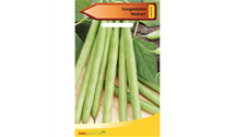 Phaseolus vulgaris var. vulgaris 'Markant'