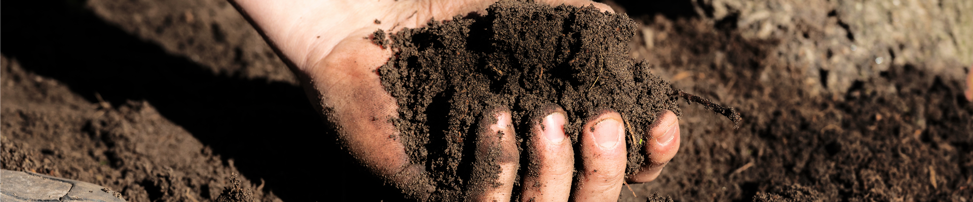 Hände mit Erde Hände mit Erde