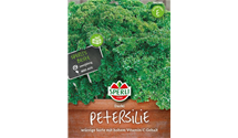 Petroselinum crispum 'Darki'