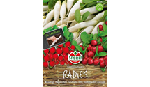 Raphanus sativus var. sativus 'Parat, Eiszapfen, Topsi'