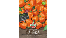Capsicum chinense 'Habanero', orange