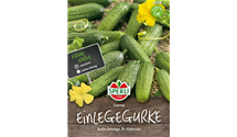Cucumis sativus 'Conny F1'