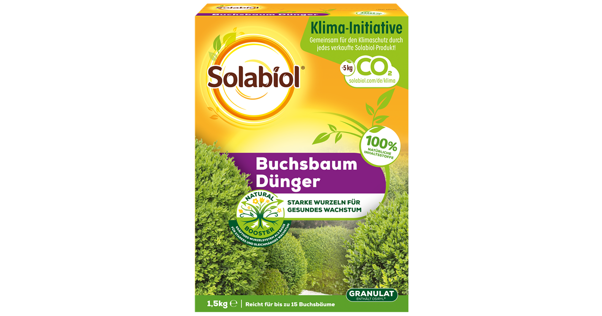 Solabiol Buchsbaum Dnger