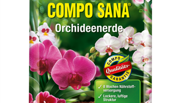 Compo Sana Orchideenerde 