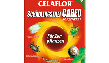 Celaflor Schädlingsfrei Careo Konzentrat Zierpflanze