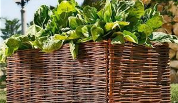 Hochbeet Weide mit Pflanztasche 100 x 40 x 40cm 