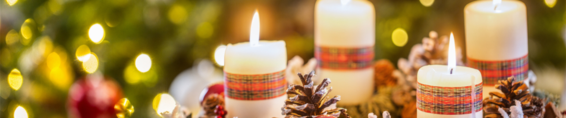 shutterstock_1591820407(1)