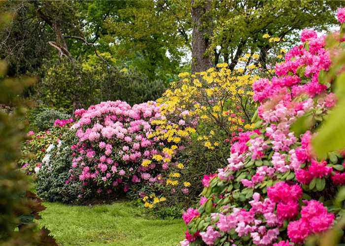 11.03. Freiland Eröffnung 11.03. Freiland Eröffnung