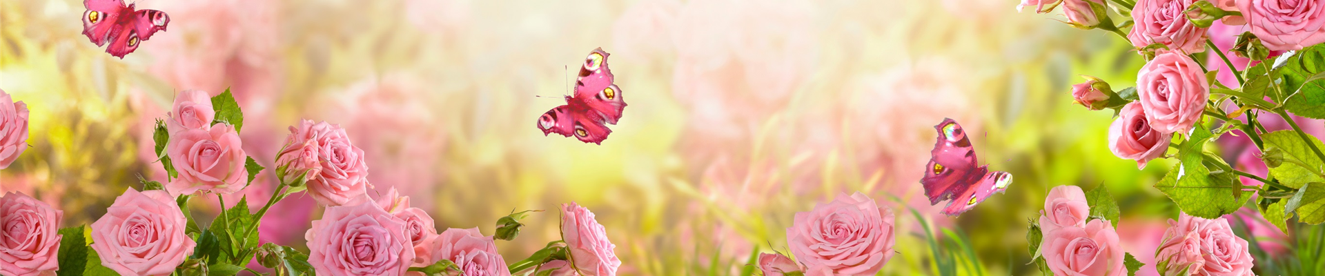 AdobeStock_327730275 AdobeStock_327730275