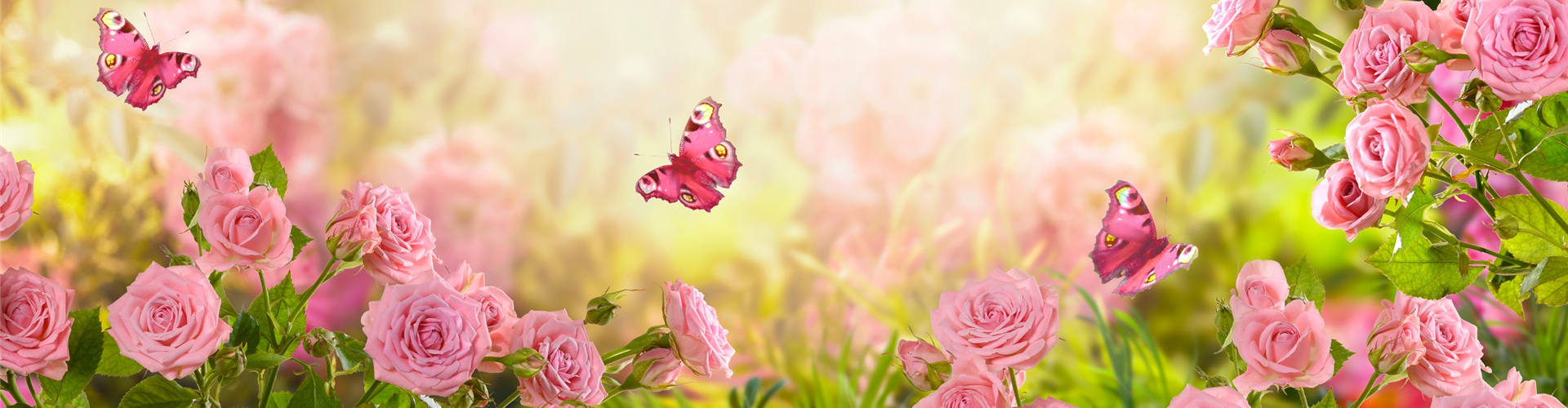 AdobeStock_327730275