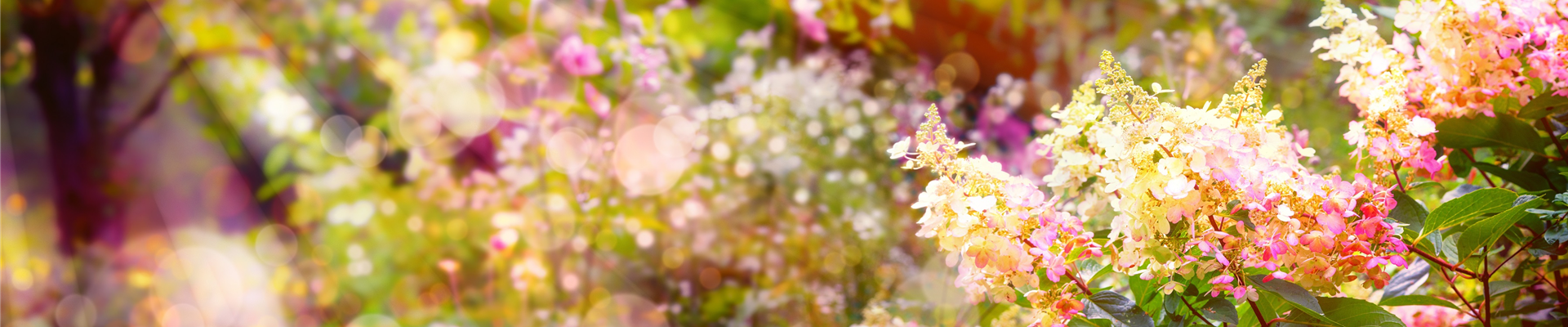 AdobeStock_167124430 AdobeStock_167124430