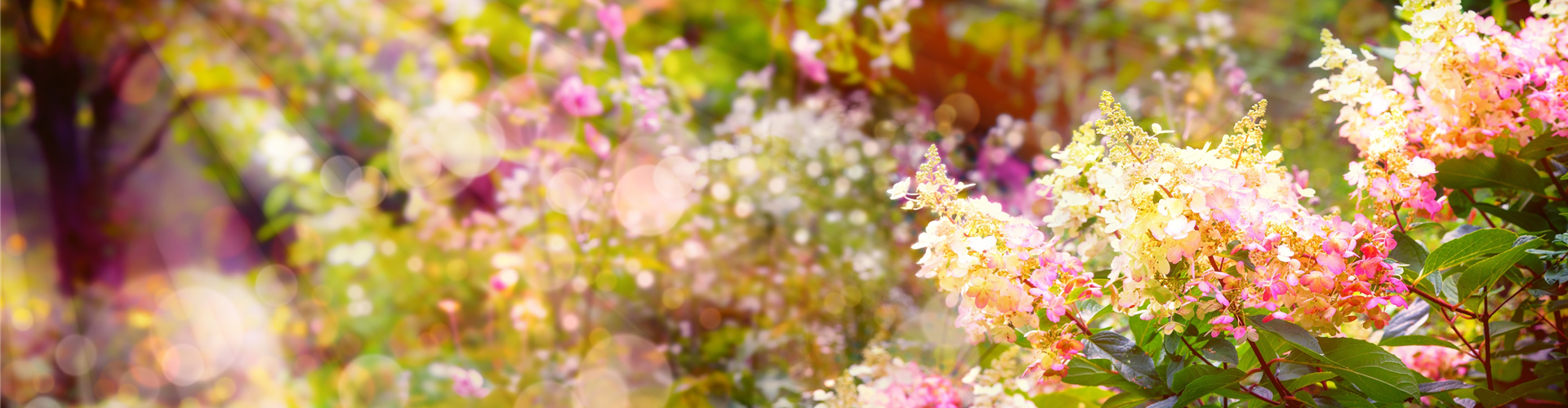 AdobeStock_167124430