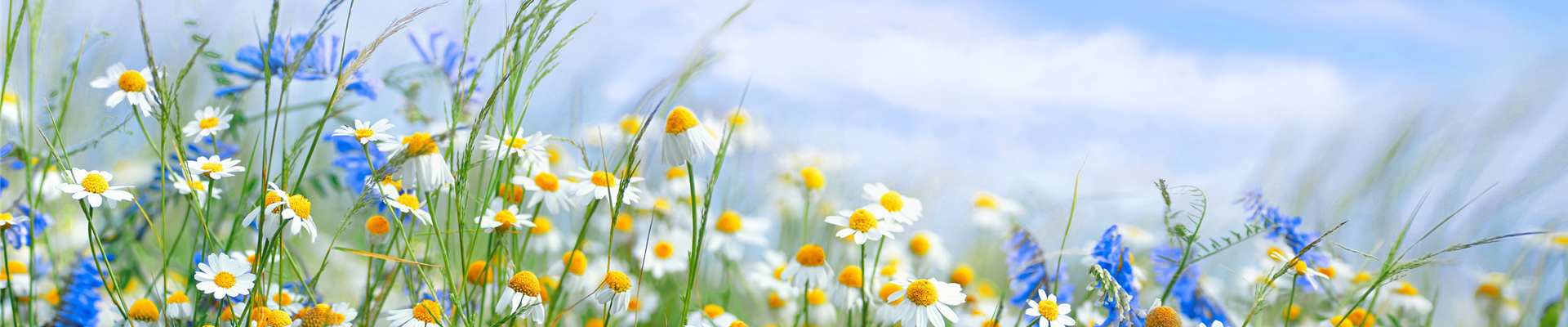 AdobeStock_274182321 AdobeStock_274182321