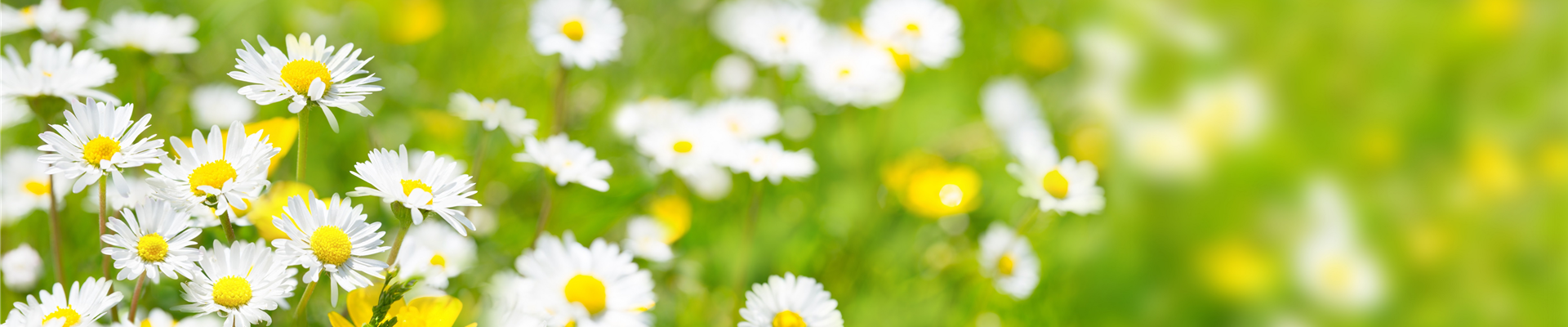AdobeStock_84307575
