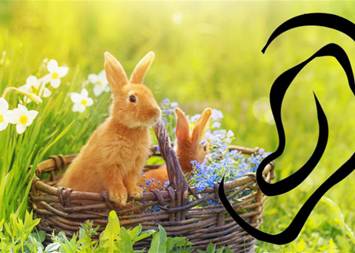 Stets ein offenes Ohr