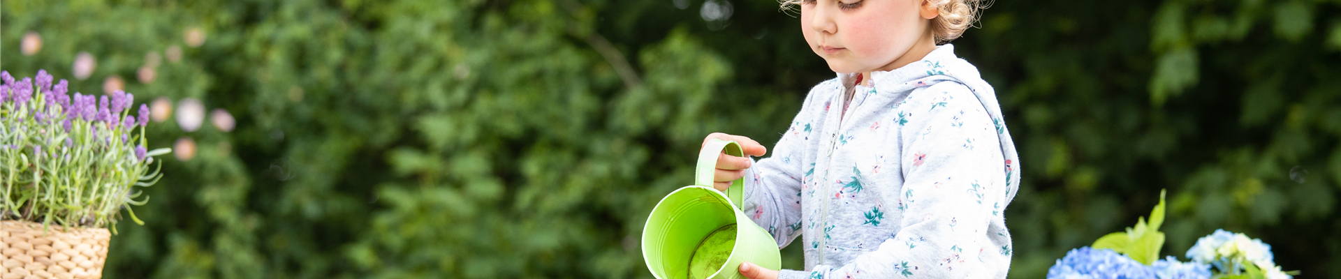 Muttertag - Kind gießt Hortensie Muttertag - Kind gießt Hortensie