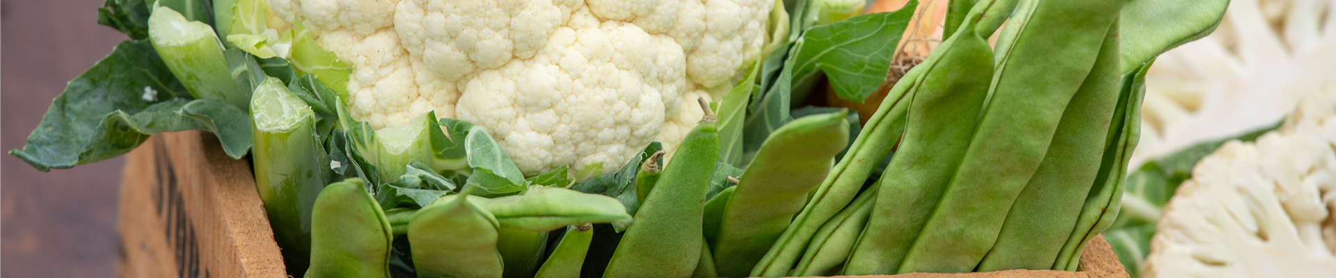 Blumenkohl Blumenkohl