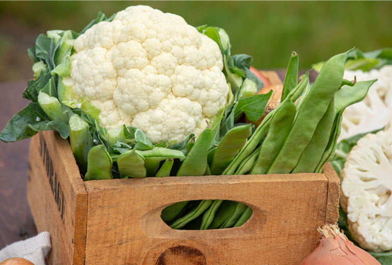 Blumenkohl Blumenkohl