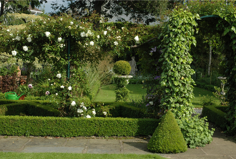 Pergolen mit Kletterpflanzen Pergolen mit Kletterpflanzen