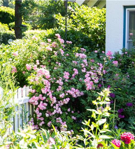 Gartengestaltung – Ideen für den eigenen Garten