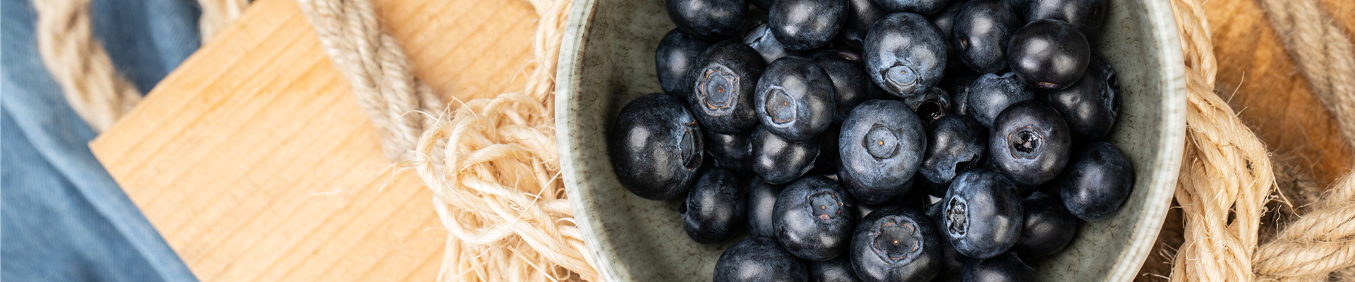 Heidelbeeren Heidelbeeren