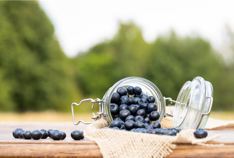 Heidelbeeren im Glas Heidelbeeren im Glas