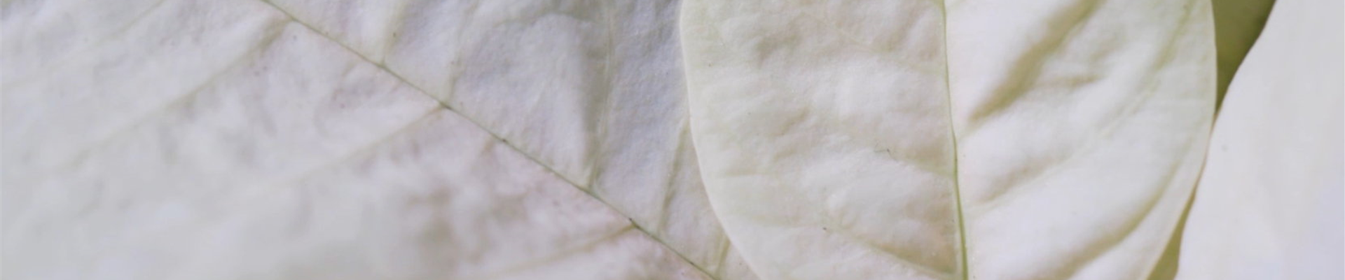 Ashampoo_Snap_Dienstag, 21. Juni 2022_10h55m30s_005_