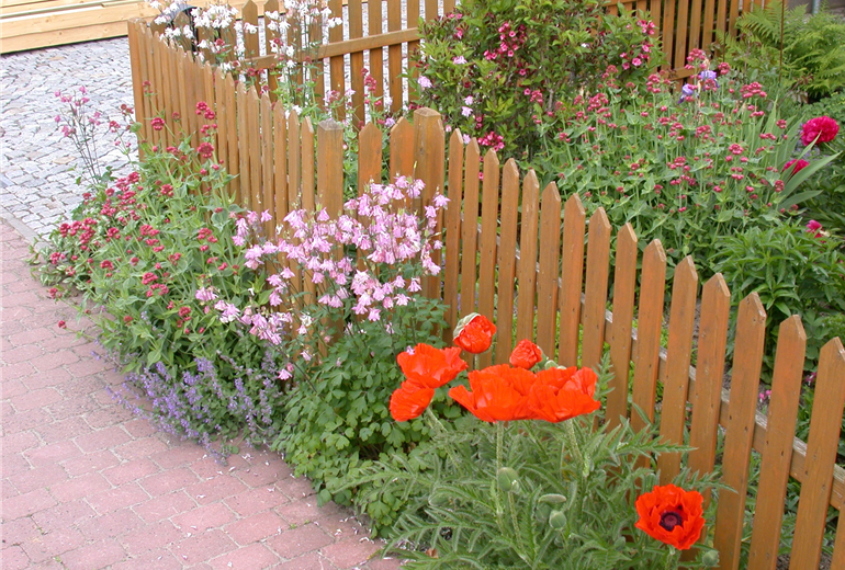 Blumen am Gartenzaun