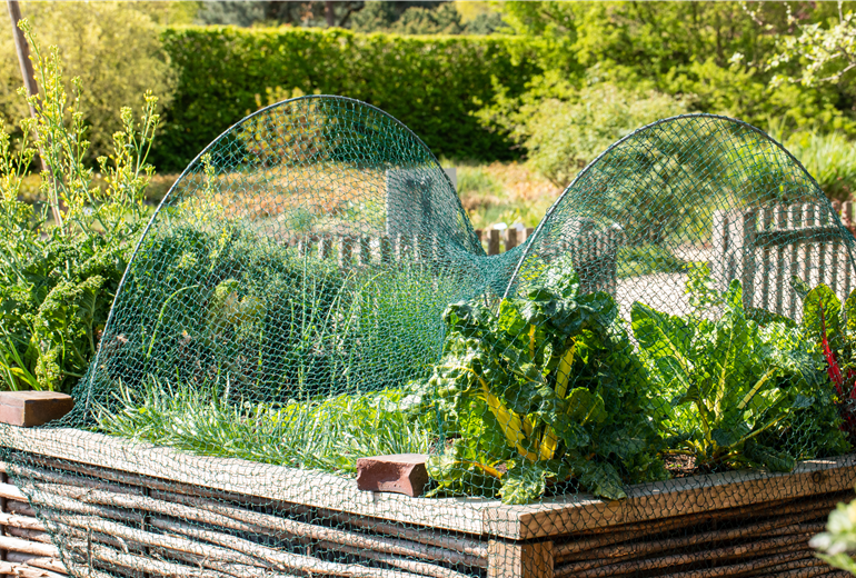 Pflanzenschutznetz Pflanzenschutznetz