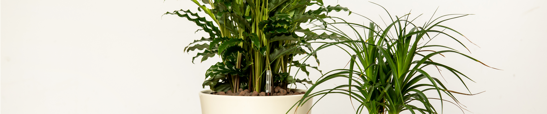 Hydrokultur - Kulturtöpfe