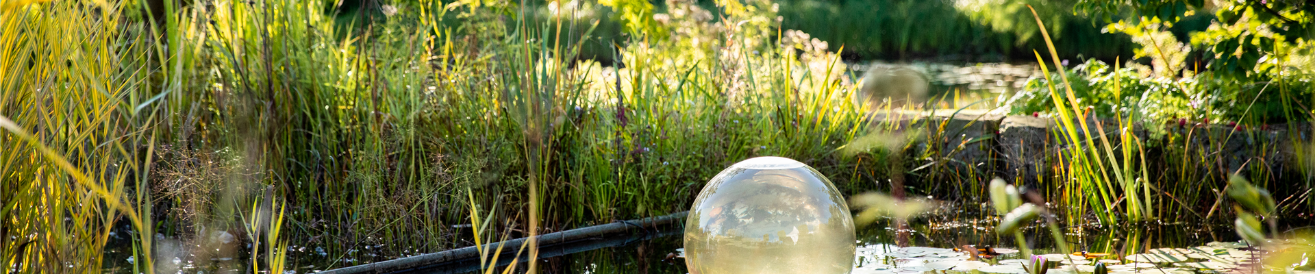 Gartenteich im Herbst Gartenteich im Herbst