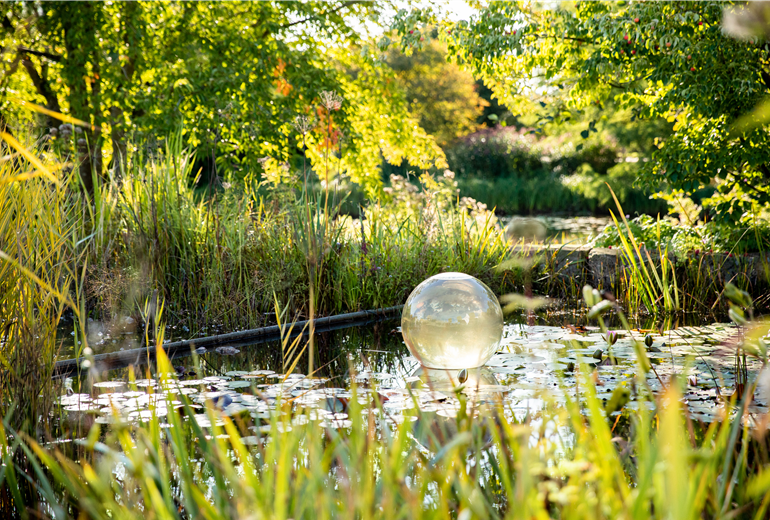 Gartenteich im Herbst Gartenteich im Herbst
