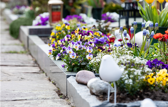 Eine ganzjährige Grabbepflanzung für ein stilvolles Andenken Eine ganzjährige Grabbepflanzung für ein stilvolles Andenken