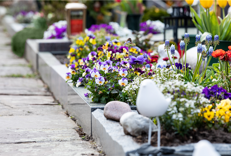 Grabgestaltung - Bepflanzung Grabgestaltung - Bepflanzung