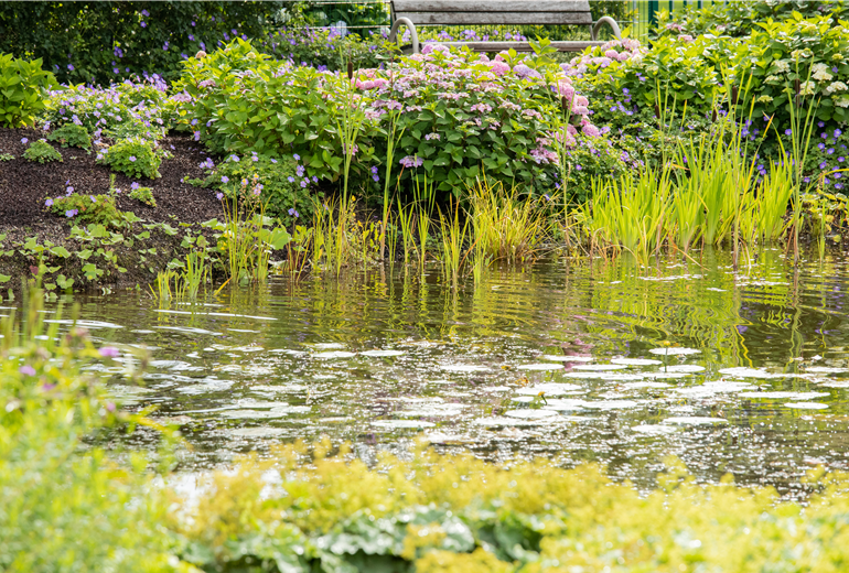 Teich im Garten Teich im Garten