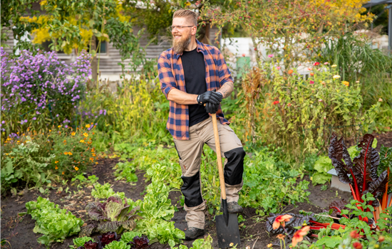 Mischkultur mit Gemüse und Kräutern für eine erfolgreiche Ernte Mischkultur mit Gemüse und Kräutern für eine erfolgreiche Ernte