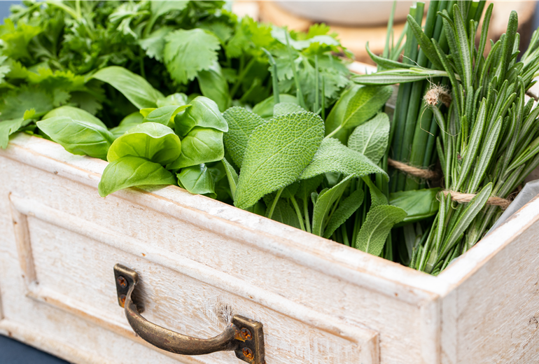 Kräutermix Kräutermix