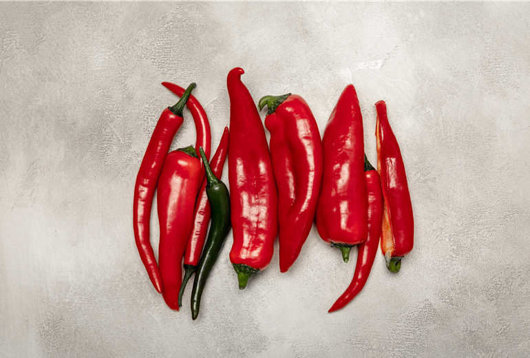 Chili und Paprika Chili und Paprika