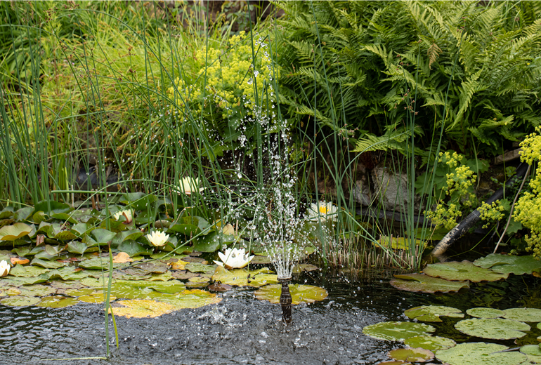 Wasserfontäne Wasserfontäne