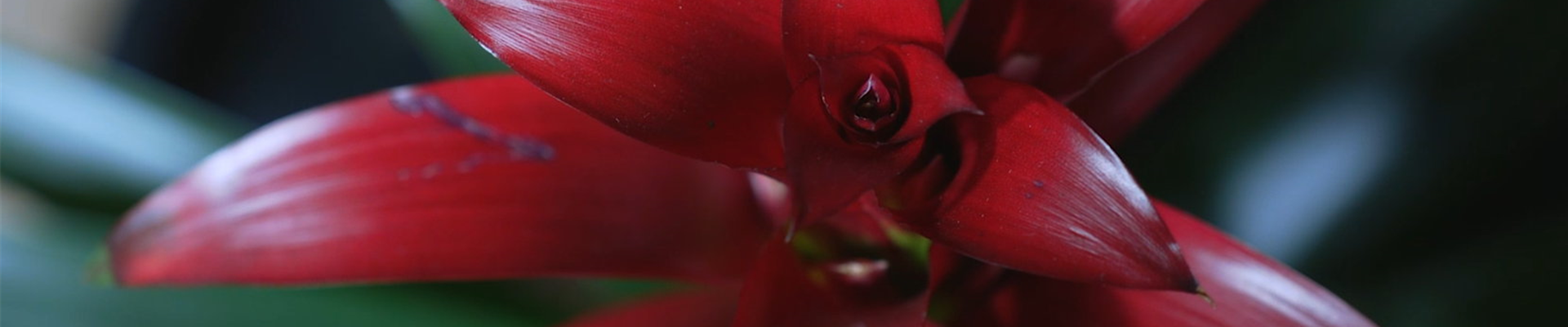 Ashampoo_Snap_Dienstag, 21. Juni 2022_09h03m06s_001_ Ashampoo_Snap_Dienstag, 21. Juni 2022_09h03m06s_001_