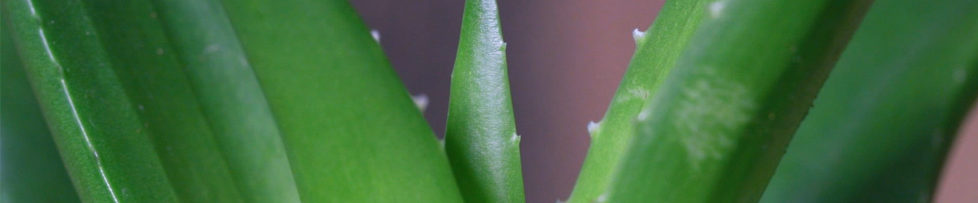 Ashampoo_Snap_Dienstag, 21. Juni 2022_10h17m42s_004_ Ashampoo_Snap_Dienstag, 21. Juni 2022_10h17m42s_004_