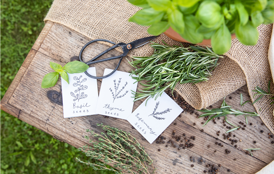Ein Aussaatkalender sorgt für Übersicht bei der Gartenplanung Ein Aussaatkalender sorgt für Übersicht bei der Gartenplanung