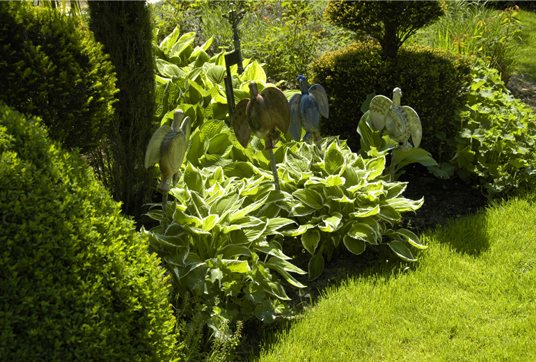 Keramiktiere im Funkienbeet Keramiktiere im Funkienbeet