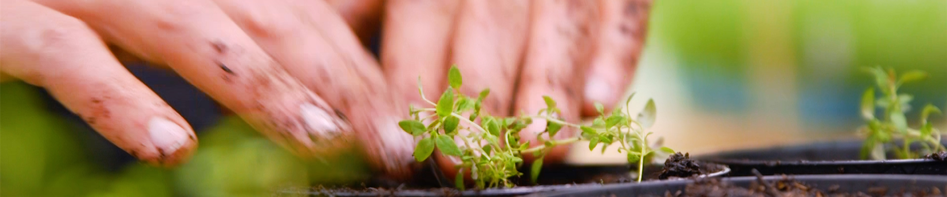 Thumbnail 2 Thumbnail 2