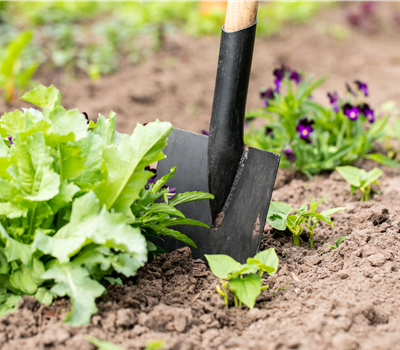 Hilfreiches und praktisches Zubehör zum Gärtnern